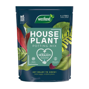 Westland Houseplant Potting Mix 4L